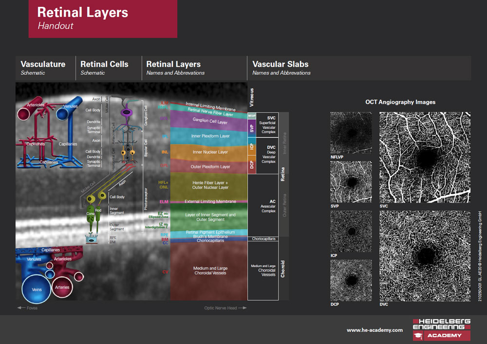 Handout "Netzhautschichten" jetzt in 7 Sprachen verfügbar