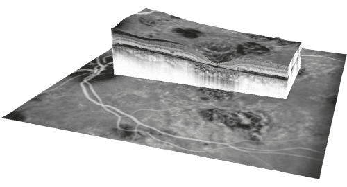 3D-Ansicht